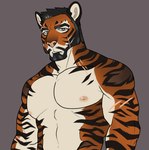 anthro beard black_beard black_facial_hair black_hair brown_background facial_hair facial_markings front_view fur grey_eyes hair head_markings looking_at_viewer male markings muscular muscular_anthro muscular_male narrowed_eyes nipples orange_body orange_fur pink_nose short_hair simple_background solo striped_arms striped_body striped_face striped_fur striped_neck stripes white_body white_fur demireality felid mammal pantherine tiger half-length_portrait portrait