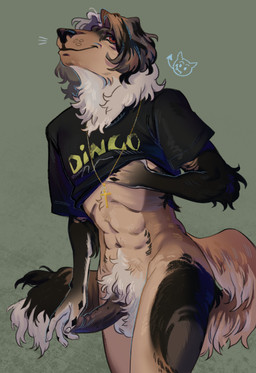 anthro bottomless bottomless_male clothed clothing crop_top cross erection fur genitals jewelry male masturbation necklace penis shirt smile smirk solo topwear canid canine canis demon dingo domestic_dog mammal wolf hi_res portrait three-quarter_portrait