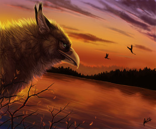 ambiguous_gender beak cloud detailed_background evening feathered_wings feathers feral green_eyes group lake looking_at_viewer nature orange_sky outside plant sky solo_focus sunset tree water wings johis mythology avian bird caracal caracal_(genus) felid feline gryphon mammal mythological_avian mythological_creature detailed