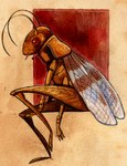 4_arms 4_fingers antennae_(anatomy) anthro bent_legs blue_wings brown_body brown_exoskeleton exoskeleton featureless_feet feet female fingers insect_wings looking_back mandibles multi_arm multi_limb paper_background red_eyes sitting solo square wings umbra-avis arthropod cricket insect orthopterid 2016 colored traditional_media_(artwork)