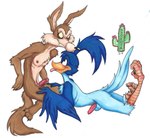 avian_feet duo feet genitals male male/male penis talons toes toony chewtoything looney_tunes warner_brothers road_runner_(looney_tunes) wile_e._coyote avian bird canid canine canis coyote mammal