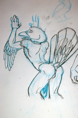 anthro anus backsack balls beak butt disembodied_hand feathers genitals looking_back male nude presenting presenting_hindquarters raised_tail solo tail tail_anus tail_feathers tyelle_niko avian bird corvid corvus_(genus) crow oscine passerine 2:3 multiple_images sketch source_request traditional_media_(artwork)