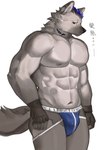 abs anthro bulge clothed clothing eyebrow_piercing facial_piercing fingerless_gloves fur gloves grey_body grey_fur hair handwear jockstrap jockstrap_only looking_at_viewer male muscular muscular_anthro muscular_male piercing solo tail text topless underwear underwear_only p7ywirzyw8lesuc yuqiqiya54831 arknights hypergryph studio_montagne spot_(arknights) hyena mammal spotted_hyena 2024 absurd_res hi_res