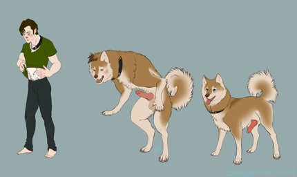 animal_genitalia animal_penis balls base_one_layout basic_sequence biped blue_background canine_genitalia canine_penis clothing collar digitigrade erection feral fur fur_growth genitals growth human_to_feral knot linear_sequence male mid_transformation one_row_layout open_mouth pawpads penis pink_pawpads plantigrade quadruped shirt simple_background snout snout_growth solo species_transformation standing surprised three_frame_image three_frame_sequence tongue topwear transformation transformation_sequence sindaj canid canine canis domestic_dog human husky mammal nordic_sled_dog spitz digital_media_(artwork) sequence