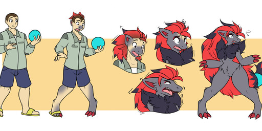 anthro big_breasts black_body black_fur bodily_fluids breast_growth breasts brown_hair claw_growth claws confusion expansion eye_color_transformation female finger_claws fur fur_growth gender_transformation growth hair hair_growth human_to_anthro long_hair male mtf_transformation red_hair snout snout_growth solo species_transformation surprised tears thick_thighs thigh_expansion toe_claws transformation iris_rivers nintendo pokemon generation_5_pokemon human mammal pokemon_(species) zoroark colored hi_res sequence