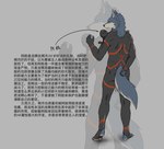 anthro athletic athletic_anthro athletic_male athletic_sub biped blue_body blue_fur collar countershade_fur countershading fur leash looking_at_viewer male slave solo standing submissive submissive_anthro submissive_male white_body white_countershading white_fur az0000 canid canine canis mammal wolf 2024