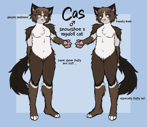 anthro biped blue_eyes brown_body brown_fur brown_hair cheek_tuft eyewear eyewear_only facial_tuft fluffy fluffy_tail fur gender_symbol glasses glasses_only hair male male_symbol markings mole_(marking) multicolored_body multicolored_fur nude pawpads pink_nose pink_pawpads solo symbol tail text tuft wearing_glasses berketex cas_(berketex) domestic_cat felid feline felis mammal mixed_breed ragdoll_cat snowshoe_cat absurd_res english_text hi_res model_sheet