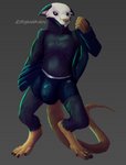 anthro big_bulge black_body black_eyes black_fur bulge clothed clothing digitigrade fur jacket long_tail looking_at_viewer male partially_clothed simple_background solo tail teeth topwear underwear white_body white_fur bedethingy skullrat_(bedethingy) mammal murid murine rat rodent 2020 absurd_res digital_media_(artwork) hi_res