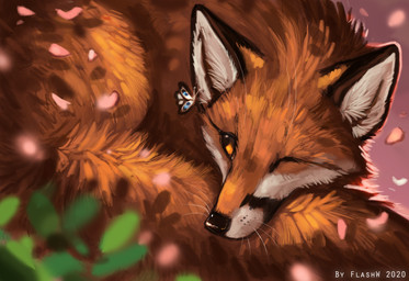 ambiguous_gender black_nose duo feral fur orange_body orange_eyes orange_fur solo_focus whiskers flashw arthropod canid canine fox insect lepidopteran mammal moth red_fox true_fox 2020 digital_media_(artwork)