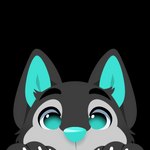 1:1 2021 alpha_channel anthro black_body black_ears black_fur blue_body blue_eyes blue_fur blue_inner_ear blue_nose canid canine eyebrows feve fur grey_body grey_fur headshot_portrait icon male mammal multi_tone_fur multicolored_body multicolored_fur portrait simple_background solo transparent_background