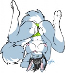 anthro blue_body blue_eyes blue_fur breasts clothed clothing clothing_aside female fur genitals nipples panties panties_aside presenting pussy solo tail topless underwear underwear_aside upside_down kyomana canid canine fox mammal