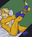 abs anthro bed_sheet bedding blonde_hair bulge claws clothed clothing feet fingerless_gloves footwear fur gloves green_eyes hair handwear humanoid_feet male nipples partially_clothed plantigrade raised_leg simple_background socks solo underwear yellow_body yellow_fur hazker canid canine canis dingo mammal hi_res