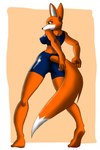 anthro big_tail blue_bottomwear blue_bra blue_clothing blue_shorts blue_sports_bra blue_underwear bottomwear bra butt camel_toe clothing female green_eyes long_tail looking_aside nipple_outline orange_body pawpads plantigrade shorts simple_background solo sports_bra standing tail underwear kitda9 brutal_paws_of_fury foxy_roxy canid canine fox mammal 2011 hi_res