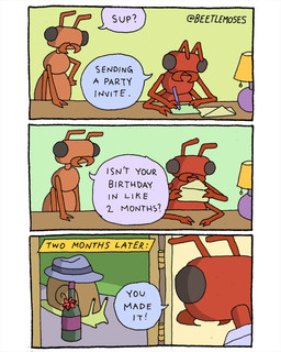 alcohol antennae_(anatomy) anthro beverage birthday clothing dialogue feral hat headgear headwear lamp letter male multi_arm multi_limb ribbons shell solo speech_bubble talking_to_another text three_frame_image wine wine_bottle beetlemoses ant arthropod gastropod hymenopteran insect mollusk snail 4:5 comic english_text hi_res