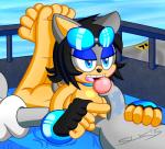 anthro breasts duo erection female genitals humanoid_genitalia humanoid_penis male male/female nude penis poking poolside water slickehedge sega sonic_the_hedgehog_(series) fan_character makia eulipotyphlan hedgehog mammal 2015