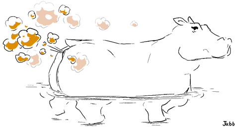 anus barely_visible_anus big_butt brown_fart_cloud butt fart fart_cloud female feral looking_back partially_submerged side_view simple_background small_tail solo tail text water white_background jubb common_hippopotamus hippopotamid mammal 2023 artist_name