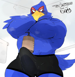 anthro blue_body boxer_briefs bulge clothing crossed_arms detailed_bulge erection genital_outline male penis_outline penis_under_clothes solo tenting text underwear hyaku_(artist) nintendo pokemon shampoo_challenge star_fox falco_lombardi avian bird generation_2_pokemon pokemon_(species) absurd_res hi_res japanese_text meme