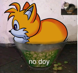 anthro black_nose blue_eyes candy dessert food hair in_bowl male mint_(candy) multicolored_body orange_body orange_ears orange_hair real side_view sitting solo text two_tone_body white_body white_inner_ear featherblessing sega sonic_the_hedgehog_(series) miles_prower canid canine fox mammal 2026 cel_shading colored digital_media_(artwork) hi_res meme photo_manipulation reference_image shaded spanish_text