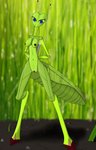 antennae_(anatomy) anthro areola arthropod_abdomen big_butt blade blue_eyes blurred_background breasts butt danger dangerous female genitals green_body green_skin long_legs looking_at_viewer nipples non-mammal_breasts pussy small_waist solo stare wide_hips shazarc arthropod insect mantis absurd_res hi_res