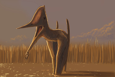 ambiguous_feral ambiguous_gender beak big_beak cloud crab_claw duo dusk feral folded_wings head_crest membrane_(anatomy) membranous_wings open_beak open_mouth outside partially_submerged pinch plant quadruped reeds size_difference standing tan_body water wings knuppitalism apatorhamphus arthropod azhdarchid crab crustacean decapod malacostracan prehistoric_species pterosaur reptile scalie hi_res