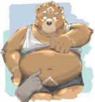 anthro belly blush bottomwear brown_body brown_fur clothed clothing clothing_lift duo eyebrows fur green_eyes male moobs navel overweight overweight_male poking_stomach shirt shirt_lift shorts solo tank_top thick_eyebrows topwear okentya crave_saga gabu_(crave_saga) bear mammal hi_res