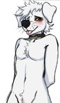 anthro blue_eyes blush brown_body brown_fur chest_tuft collar fur happy male multicolored_body multicolored_fur simple_background solo tuft white_body white_fur gess11 space_dogs pushok canid canine canis domestic_dog mammal