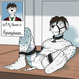 5_toes anthro arms_tied barefoot bdsm before_and_after black_body black_fur black_nose black_spots bondage bottomwear bound briefs bulge clothed clothing collar feet frogtied fur gag hands_behind_back humanoid_feet legs_tied male markings muzzle_(object) muzzled navel nipples plantigrade restrained restraints rope rope_bondage soles solo spots spotted_body spotted_fur submissive submissive_male teeth tighty_whities toes topless underwear white_body white_briefs white_clothing white_fur white_underwear fuze kyunghoon_(fuze) canid canine canis dalmatian domestic_dog mammal 1:1 hi_res