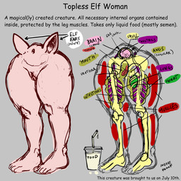 ambiguous_gender anus clothed clothing female genitals heart_symbol internal lung monster_girl_(genre) muscular organs pointy_ears rib_cage solo text topless topless_elf_woman_(creature) vulva what_has_science_done why smudge_proof elf humanoid 1:1 colored digital_drawing_(artwork) digital_media_(artwork) english_text full-length_portrait hi_res portrait sketch