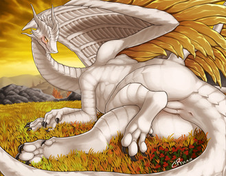 anus blush butt claws female feral genitals nude presenting presenting_anus presenting_hindquarters presenting_vulva smile solo tail vulva white_body wings coolryong elden_ring european_mythology fromsoftware mythology ancient_dragon_lansseax dragon mythological_creature mythological_scalie scalie western_dragon 2022 hi_res