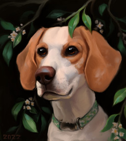 brown_eyes collar darkness feral flower fur green_collar leaf markings plant solo tan_markings white_body white_fur alexpahomov beagle canid canine canis domestic_dog hunting_dog mammal scent_hound 2022 digital_media_(artwork) digital_painting_(artwork) hi_res painting_(artwork)