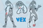 anthro blue_eyes femboy fur fur_markings genitals glans green_eyes grey_body grey_fur heterochromia male markings navel nude pawpads penis solo tongue tongue_out jay-r vex_(jay-r) lagomorph leporid mammal rabbit character_name model_sheet