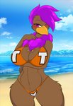 anthro arm_under_breasts beach beak bikini blush breasts brown_body brown_fur clothing cloud female fur hair hand_on_chest non-mammal_breasts purple_eyes purple_hair sand sea seaside sky smile solo swimwear text text_on_bikini text_on_clothing text_on_swimwear two-piece_swimsuit water mastergodai emily_(dtripper) avian bird emu ratite