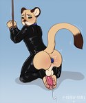 2021 anthro artist_name autofootjob balls bdsm blue_background bondage bound butt buttplug clothing cougar dipstick_tail feet felid feline foot_fetish foot_play genitals hands_tied hypnosis kneeling latex latex_clothing latex_skinsuit looking_at_viewer looking_back looking_back_at_viewer male mammal markings masturbation mind_control open_mouth orgasm pastelpastel pawpads penile penile_masturbation penis plug_(sex_toy) raised_tail restraints rope rope_bondage rubber_clothing sex_toy shaking simple_background skinsuit solo spiral_eyes tail tail_markings text tight_clothing trembling url