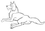 chin_fur feet_together feral looking_away lying male resting side_view simple_background solo white_background thegreatmatsutzu jungle_book_shonen_mowgli akela canid canine canis mammal wolf black_and_white monochrome sketch