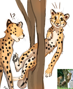 black_nose duo feral fur interrobang markings plant smile spots spotted_body spotted_fur tree whiskers yellow_eyes flashw cheetah felid feline mammal 2021 digital_media_(artwork)