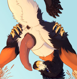 animal_genitalia anus big_penis black_body bodily_fluids butt claws dripping erection feathers feral fingers genital_fluids genital_slit genitals grass low-angle_view male penis plant precum precum_drip raised_tail scales solo tail tail_anus teeth thick_tail white_body owishka dinosaur dromaeosaurid feathered_scalie prehistoric_species reptile saurischian scalie theropod absurd_res hi_res