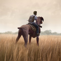 duo feral field hunter hunting mount rear_view rider riding saddle dane_cozens canid canine canis dobermann domestic_dog human mammal pinscher 1:1 absurd_res hi_res