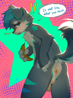abstract_background anthro anus banana biped blue_body blue_eyes blue_fur blue_hair blushlines bodily_fluids countershading flaccid floppy_ears food fruit fur genitals hair holding_food holding_object humanoid_genitalia humanoid_penis male nude_anthro nude_male pattern_background penis pink_anus plant polygonal_background shota simple_background slim small_penis solo speech_bubble star-shaped_background star_polygon sweat sweatdrop text white_body white_countershading white_fur young young_anthro young_male fur_alasky canid canine canis domestic_dog husky mammal nordic_sled_dog spitz 2026 3:4 absurd_res character_request digital_media_(artwork) english_text hi_res