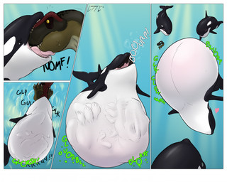ambiguous_gender belly big_belly black_body black_fin black_tail burping digestion dorsal_fin duo fatal_vore feral fin head_first heart_symbol huge_belly open_mouth oral_vore rumbling_stomach same_size_vore swallowing tail text underwater upside_down vore water white_belly longscary tank_(longscary) aquatic cetacean dinosaur dolphin mammal oceanic_dolphin orca prehistoric_species reptile saurischian scalie theropod toothed_whale tyrannosaurid tyrannosauroid tyrannosaurus tyrannosaurus_rex 2026 comic english_text hi_res watermark