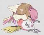 ambiguous_gender anatomically_correct animal_genitalia avian beady_eyes beak bird blush bodily_fluids claws cloaca digitigrade duo feathered_wings feathers feral feral_on_feral fletchinder ganguro_(artist) generation_1_pokemon generation_6_pokemon genitals grey_background hi_res lying nintendo on_back pidgeotto pokemon pokemon_(species) saliva simple_background size_difference tail tail_feathers wings