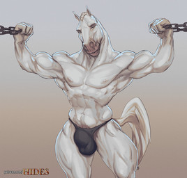 abs anthro balls_outline barazoku biceps big_bulge big_muscles black_clothing black_underwear bulge chain clothed clothing detailed_bulge exercise front_view fur genital_outline grey_background looking_at_viewer male muscular muscular_anthro muscular_male navel nipples obliques pecs quads simple_background solo standing text thong underwear underwear_only white_body white_fur workout laser_(artist) equid equine horse mammal 2021 digital_media_(artwork) hi_res shaded url