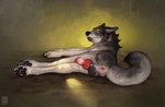 4_toes animal_genitalia animal_penis anus balls bodily_fluids butt canine_genitalia canine_penis claws digitigrade erection feet feral finger_claws fur genital_fluids genitals grey_body grey_fur grey_tail knot knotted_penis looking_at_viewer lying male on_side pawpads paws penis precum quadruped red_eyes solo tail teeth toe_claws toes anchee canid canine canis mammal wolf 2025 absurd_res digital_media_(artwork) hi_res shaded