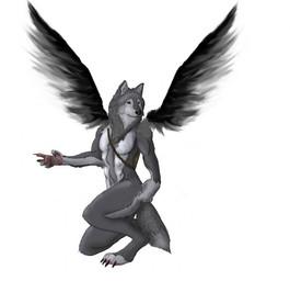 anthro black_body black_claws black_feathers black_nose claws crouching feathered_wings feathers fur gloves_(marking) grey_body grey_fur looking_away male markings pawpads pink_pawpads simple_background solo white_background white_markings wings unknown_artist canid canine canis mammal wolf source_request