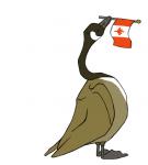 2014 3_toes ambiguous_gender anatid anseriform anserinae avian avian_feet beak biped bird black_body black_feathers brown_body brown_feathers brown_tail brown_tail_feathers brown_wings canada canada_goose canadian_flag countershade_torso countershading digital_drawing_(artwork) digital_media_(artwork) earhole eyes_closed feathered_wings feathers feet feral flag flag_(object) flag_in_mouth flagpole folded_wings full-length_portrait goose grey_beak grey_feet jamminbison long_neck maple_leaf membrane_(anatomy) monotone_beak monotone_tail monotone_wings mouth_hold multicolored_body multicolored_feathers narrow_legs object_in_mouth portrait side_view simple_background solo standing tail tail_feathers tan_body tan_feathers toes toony webbed_feet white_background white_body white_countershading white_feathers winged_arms wings