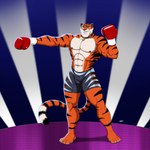 4_toes abs anthro barefoot black_pawpads bottomwear boxing_gloves claws clothing countershade_feet countershading feet handwear male muscular pawpads paws plantigrade shorts solo toes zootopia_shorts wendel_fragoso felid mammal pantherine tiger 1:1 hi_res