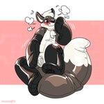 anthro black_body brown_body chest_tuft hair hand_on_crotch inflatable latex lock_bulge lock_symbol male motion_lines null null_bulge null_masturbation null_stimulation pink_background simple_background solo squirming tuft white_background white_body white_hair nennsen animate_inanimate canid canine fox living_inflatable mammal 1:1 hi_res