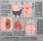 animal_genitalia animal_pussy anthro anus areola big_breasts big_butt biped breasts butt clitoris clothed clothing female floppy_ears genitals hair hooves huge_breasts huge_butt nipples nude porcine_pussy profanity puffy_anus pussy raised_tail sagging_breasts short_tail solo tail tail_anus text thick_thighs toby_art sarah_hogson domestic_pig mammal suid suine sus_(pig) english_text hi_res model_sheet