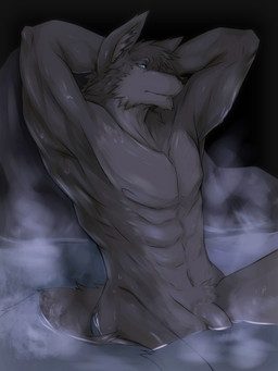 abs anthro bath biceps biped blue_eyes bodily_fluids dim_lighting flaccid flexing fur genitals grey_body grey_fur hands_behind_head male muscular muscular_anthro muscular_male nipples nude partially_submerged pecs penis pose pubes raised_arms sitting solo steam sweat tail water wet kiba-wolf canid canine canis mammal wolf 2011 3:4 dark_theme hi_res
