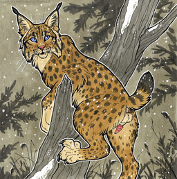 4_toes animal_genitalia animal_penis backsack balls blue_eyes bodily_fluids cheek_tuft claws climbing_tree countershade_torso countershading dipstick_tail erection eyebrow_whiskers facial_tuft feet feline_genitalia feline_penis feral fluffy forest fur genital_fluids genitals inner_ear_fluff leg_markings male male_feral markings nude nude_male outline outside penile_spines penis plant precum quadruped raised_tail sheath snow socks_(marking) solo spots spotted_body spotted_fur spotted_markings tail tail_markings text toe_claws toes tree tuft whisker_spots whiskers heatherwolf furaffinity felid feline lynx mammal colored hi_res marker_(artwork) traditional_media_(artwork) url