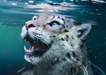 ambiguous_gender black_spots fangs feral fur grey_body grey_fur looking_up markings open_mouth photorealism pink_nose pink_tongue solo spots spotted_body spotted_fur teeth tongue underwater water white_body white_fur flutti felid mammal pantherine snow_leopard 2022 absurd_res artist_name digital_media_(artwork) digital_painting_(artwork) hi_res